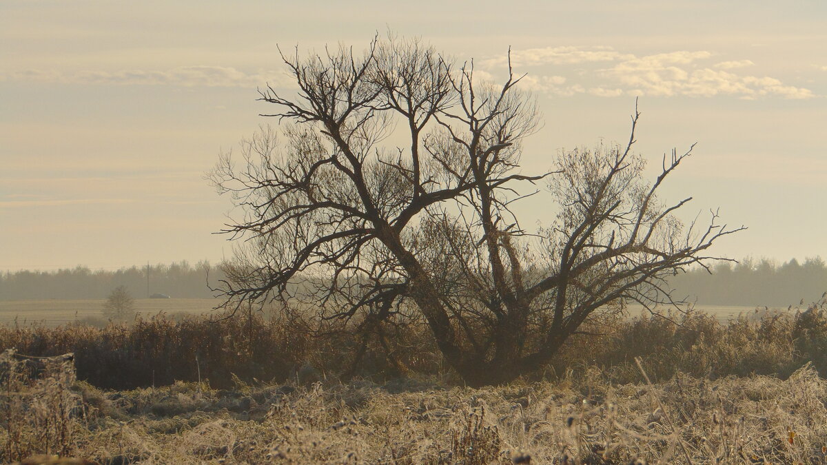 . - Сергей Асташонок