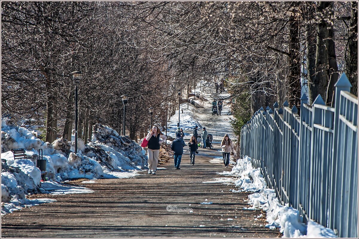 Под мартовским солнцем... - Aquarius - Сергей Под мартовским солнцем... - Aquarius - Сергей