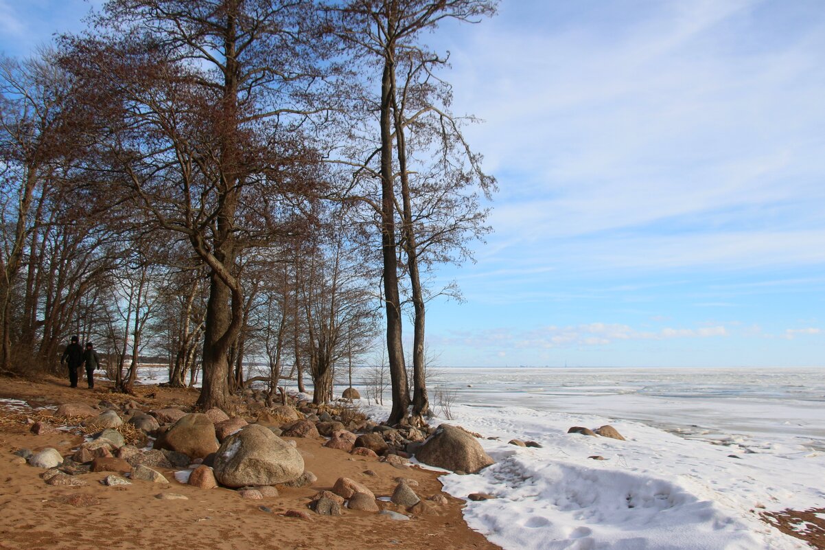 Зеленогорск. Март - Наталья Герасимова Зеленогорск. Март - Наталья Герасимова