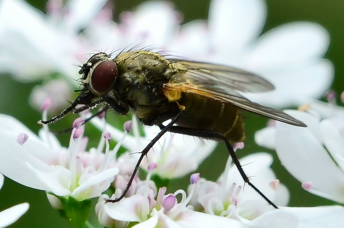 Время кушать... - Станислав Мутовин