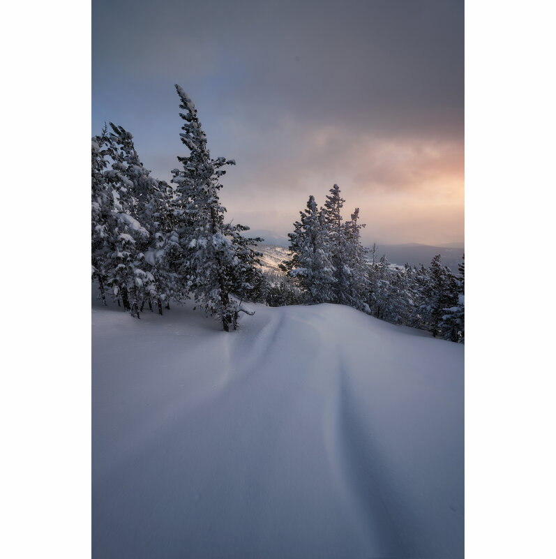 * - Александр Иванов