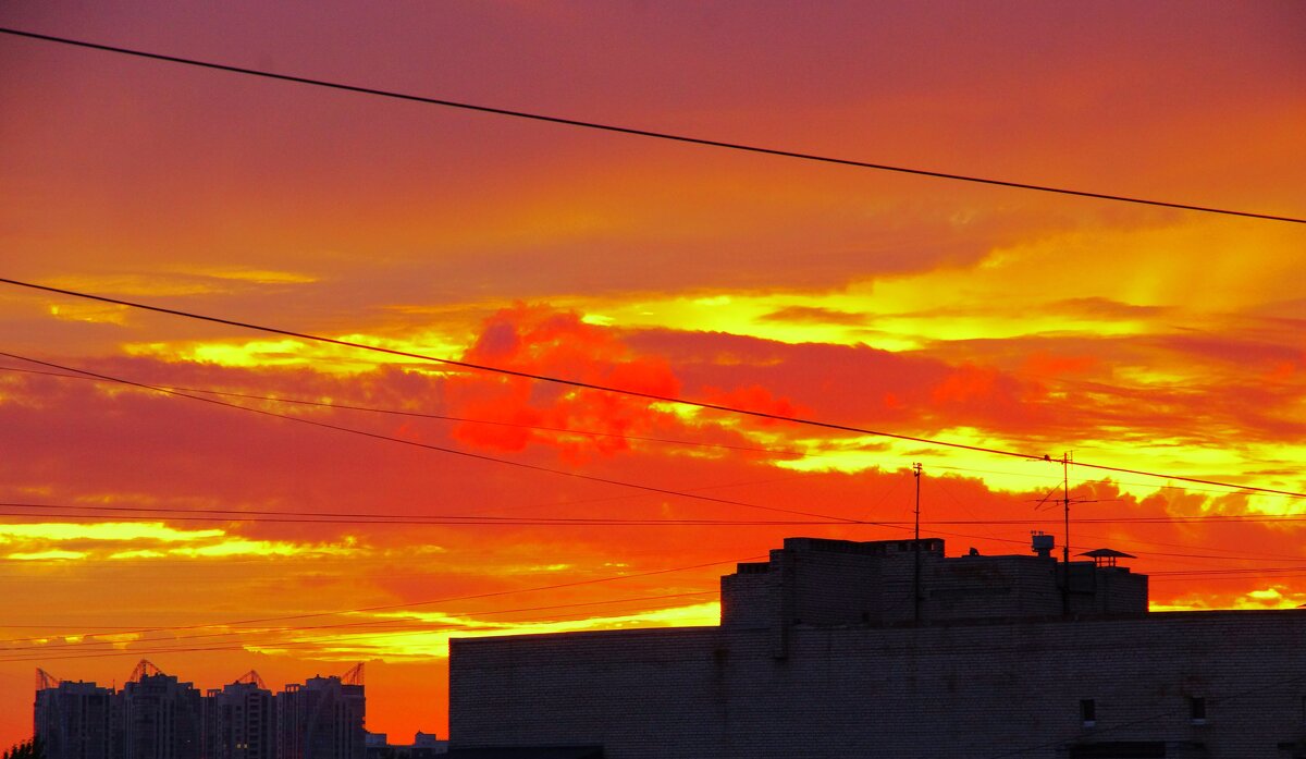 ............... - Юрий Куликов