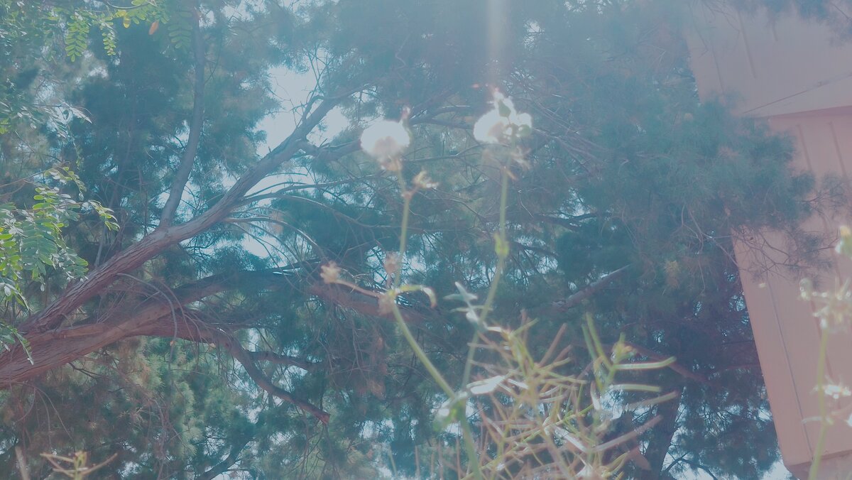 12  КЛОС (792) - CLOSE WAYS ALL