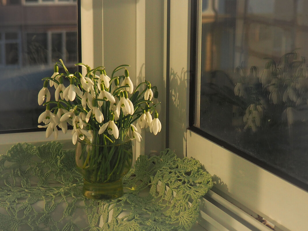 весна - Александра [-/