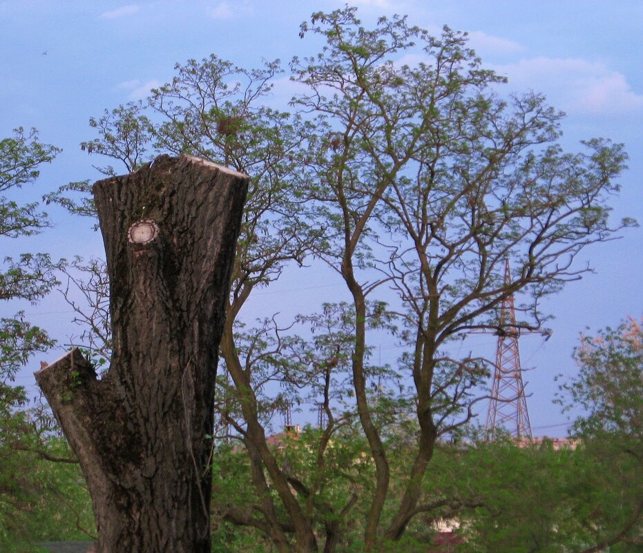 . - Александр Хоменко