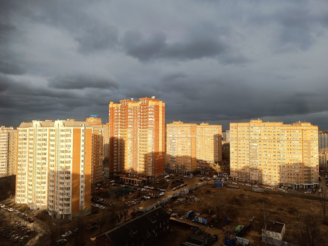 Тень - Роман С