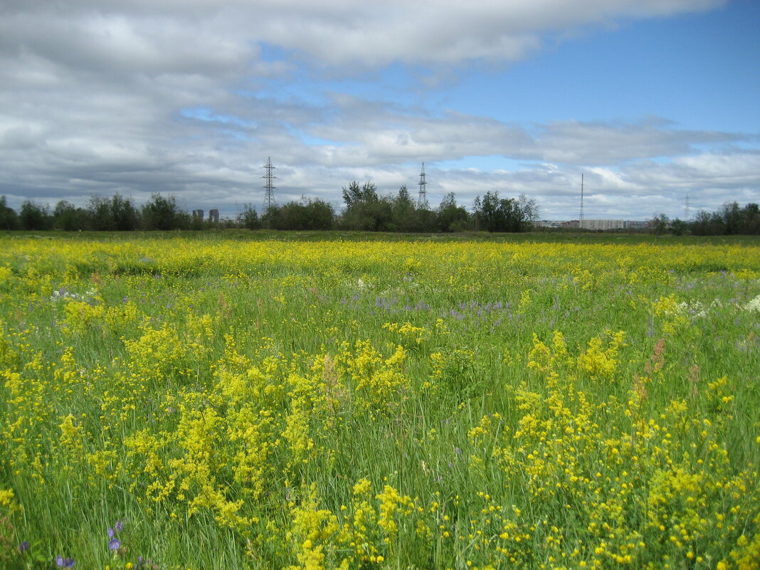 Лето - Anna Ivanova