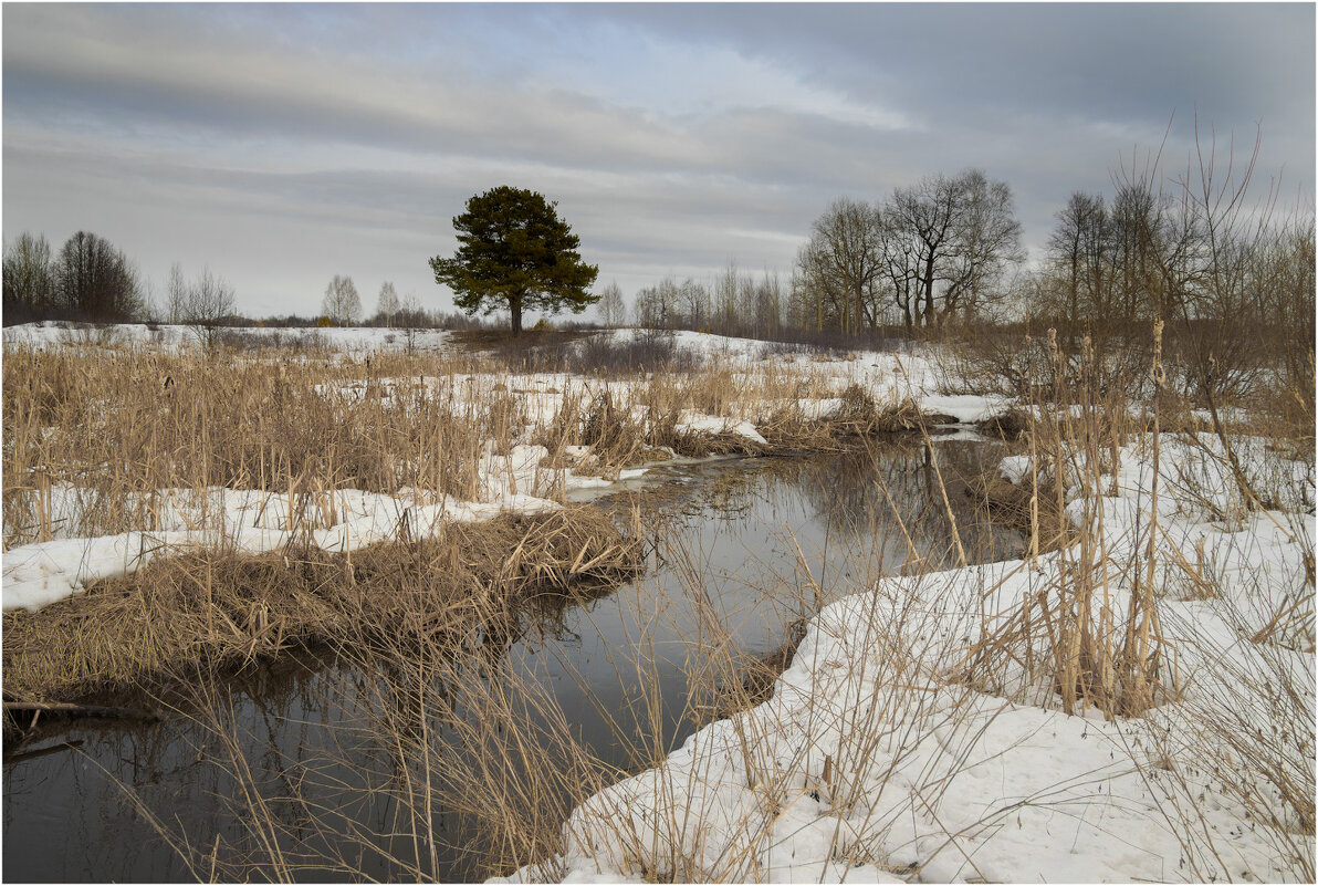 Март - Валентин Котляров