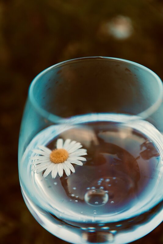 лето - Надежда Гусева