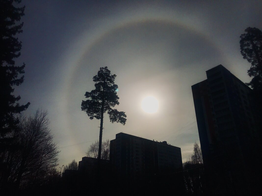 Гало 21.03.25г - Любовь 