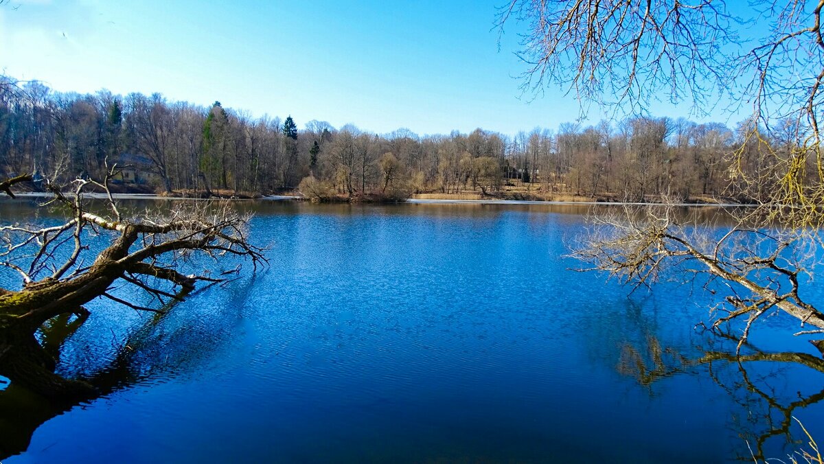 Озеро весной - Милешкин Владимир Алексеевич Озеро весной - Милешкин Владимир Алексеевич
