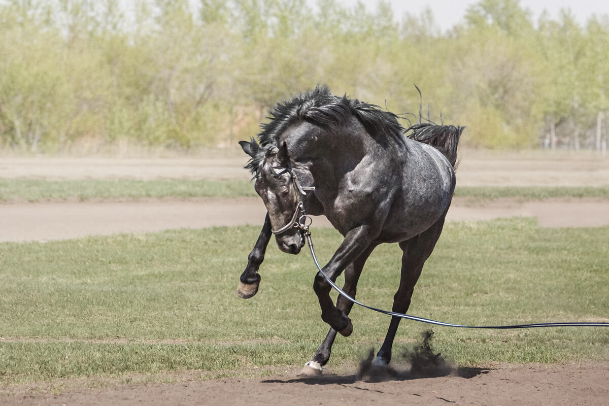 На корде - SanSan 