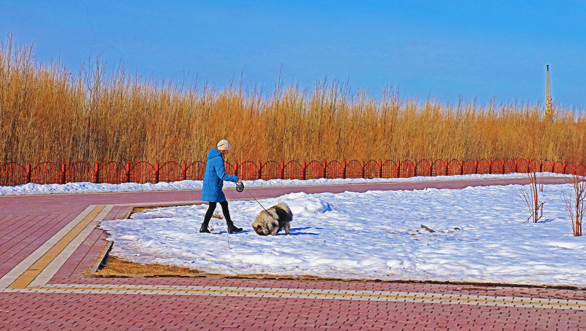 Апрель.....В прибрежном парке с собачкой! - Владимир 