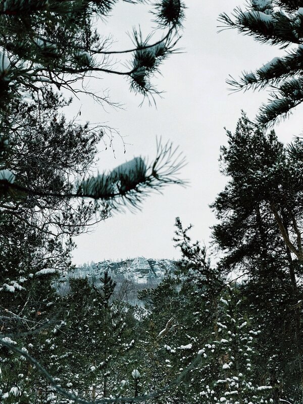 Окно в природу. - Георгиевич Окно в природу. - Георгиевич
