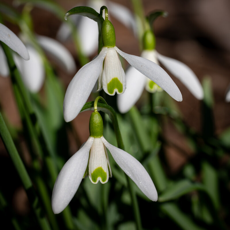 Весна приходи!!))) - Referee (Дмитрий) Весна приходи!!))) - Referee (Дмитрий)
