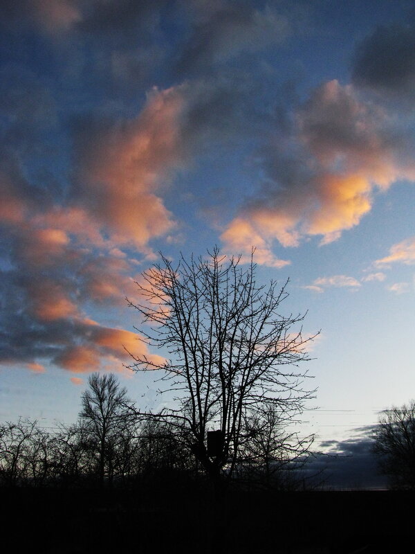 Вечером - Людмила Смородинская Вечером - Людмила Смородинская