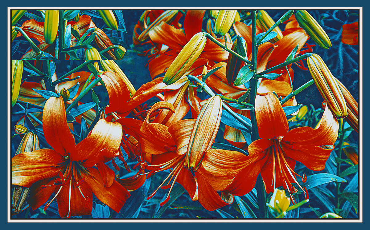 Фотозарисовка - Владимир Кроливец Фотозарисовка - Владимир Кроливец