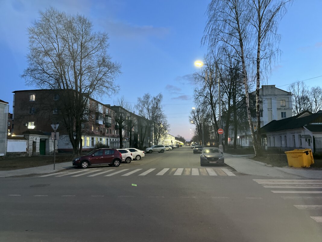 Улица А.Д.Дементьева. - Olga Oskolkova