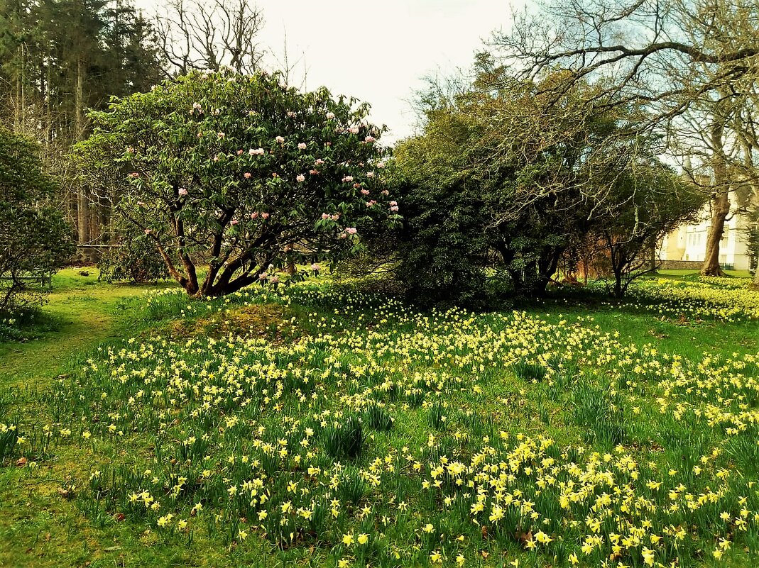 Небольшой парк в центре Дублина - Aida10 Небольшой парк в центре Дублина - Aida10