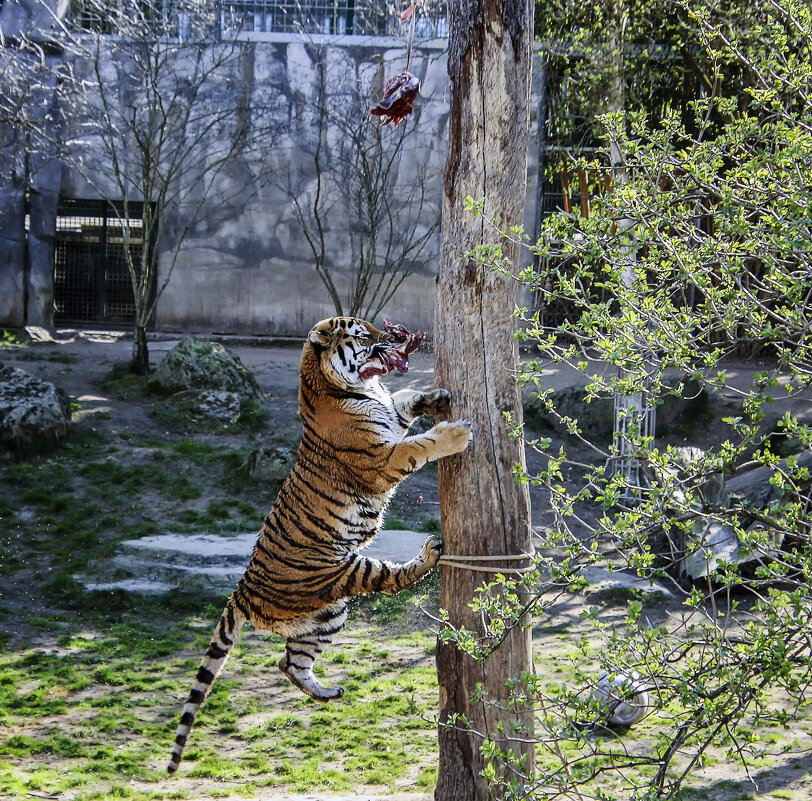 Добыча - Андроник Александр Добыча - Андроник Александр