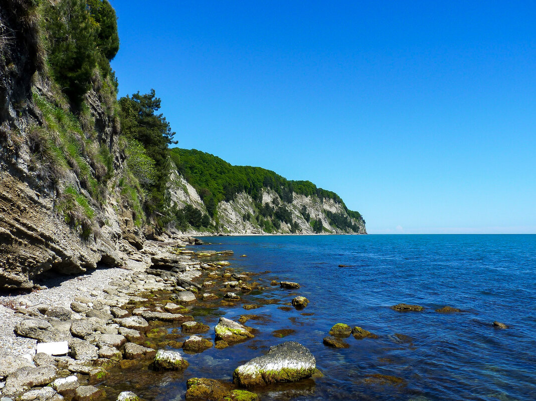 Недалеко от Пицунды - Алексей Просвиряков Недалеко от Пицунды - Алексей Просвиряков