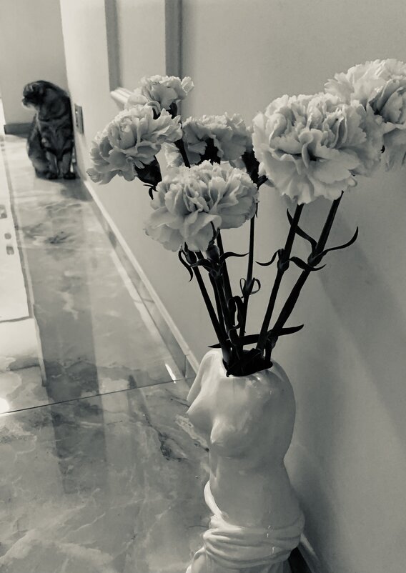 Гвоздики и кошка - Vorona.L Гвоздики и кошка - Vorona.L