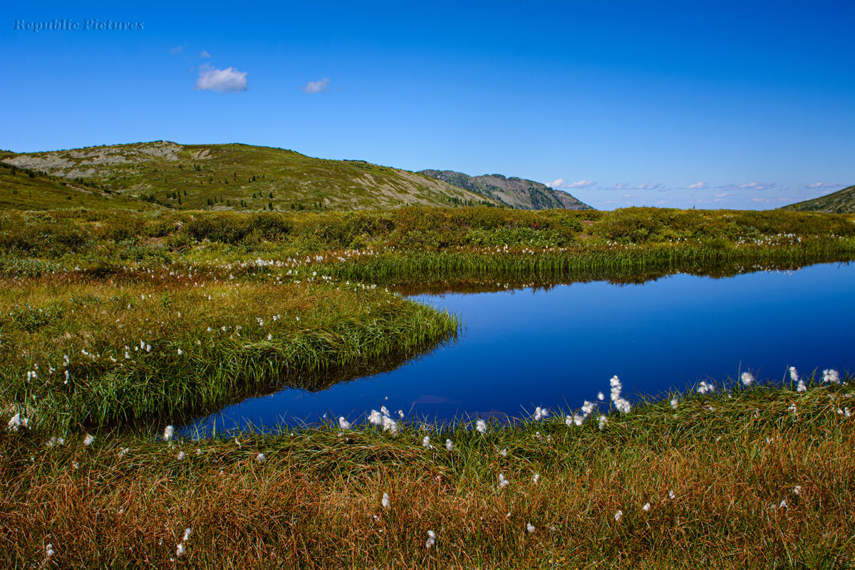 Озеро - Ричард Панков
