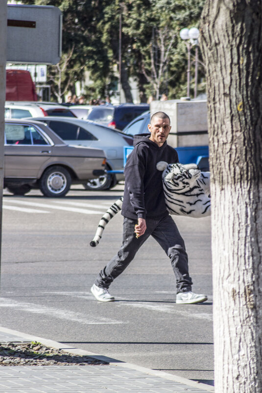 Похищение белого тигра средь бела дня - Коля Лукашов