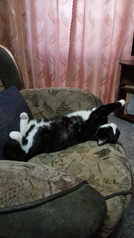 Доброе утро! - Наталья Вязигина