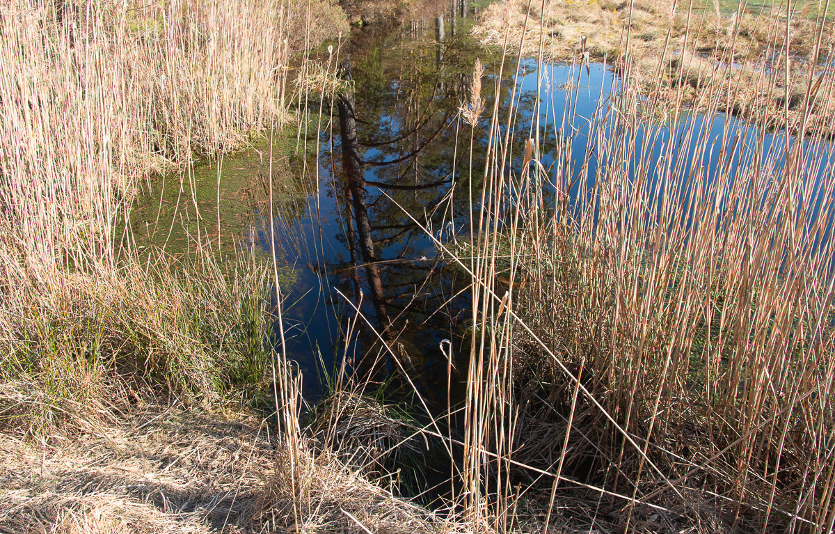 *** - Геннадий Порохов