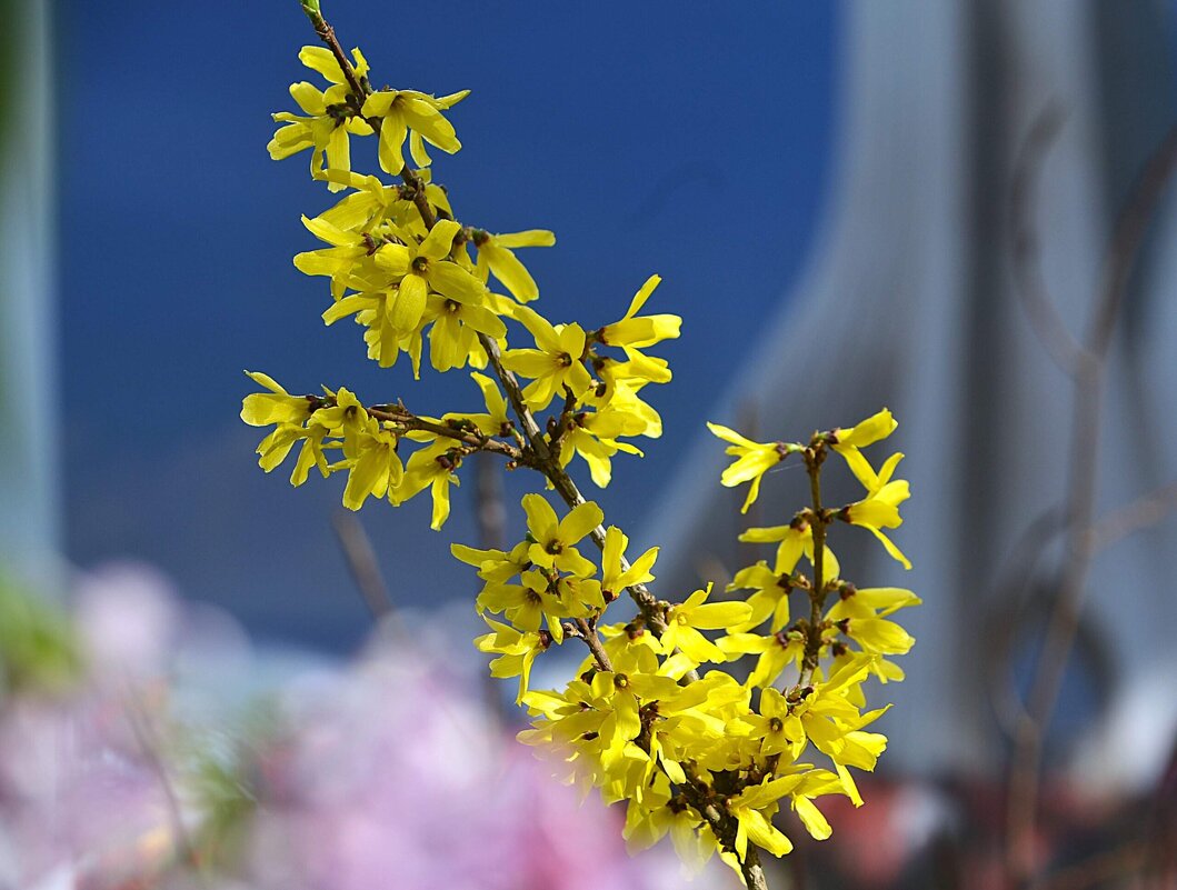 Репетиция весны - Татьяна Тюменка