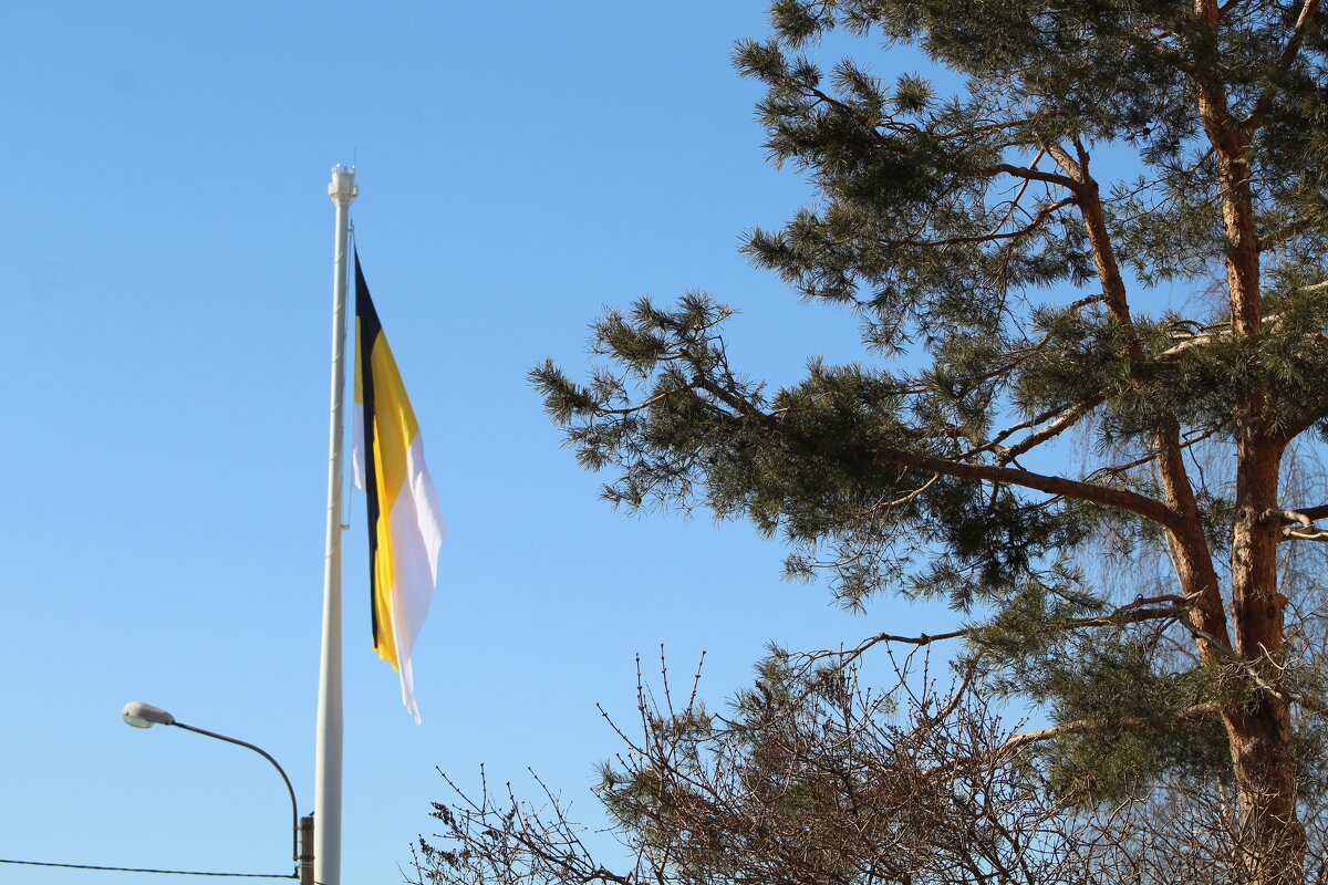 Флагшток. 300 СПб - ii_ik Иванов