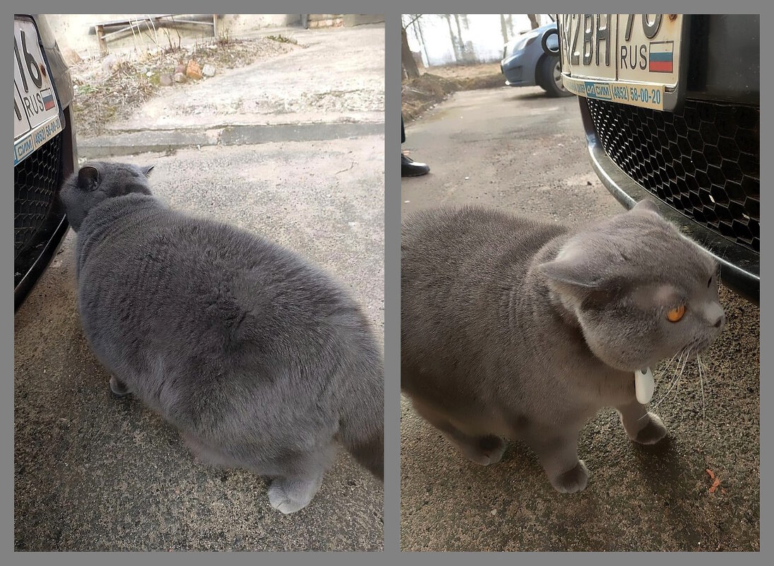 Дорожные зарисовки. - Ольга Довженко Дорожные зарисовки. - Ольга Довженко