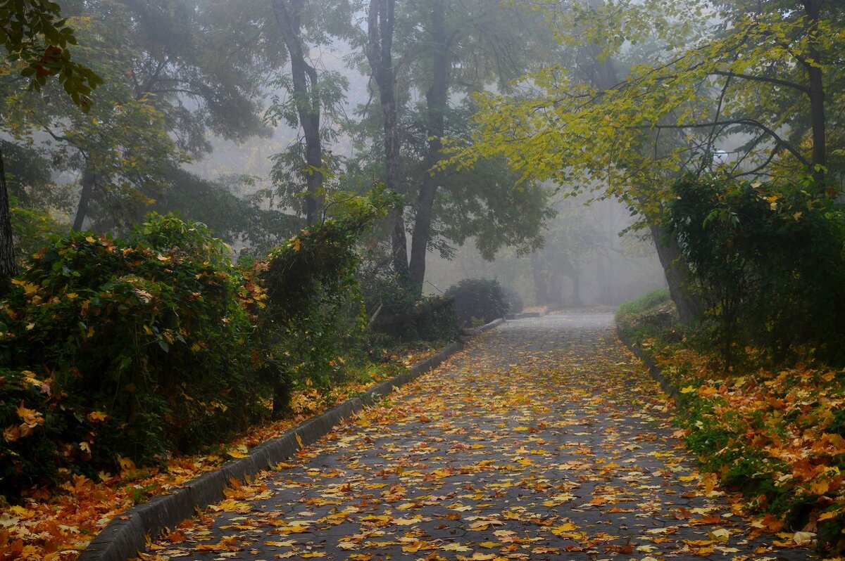 Осеннее утро..... - Юрий Цыплятников Осеннее утро..... - Юрий Цыплятников