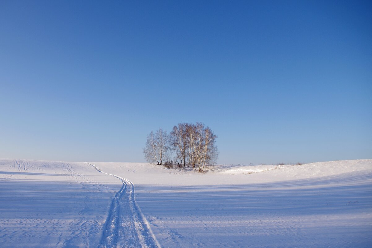 Зимний день - Сергей Швечков Зимний день - Сергей Швечков