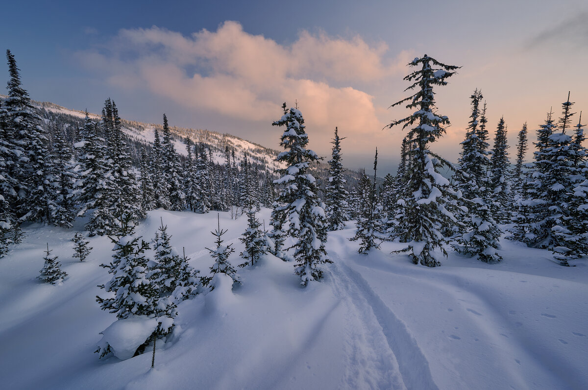 * - Александр Иванов