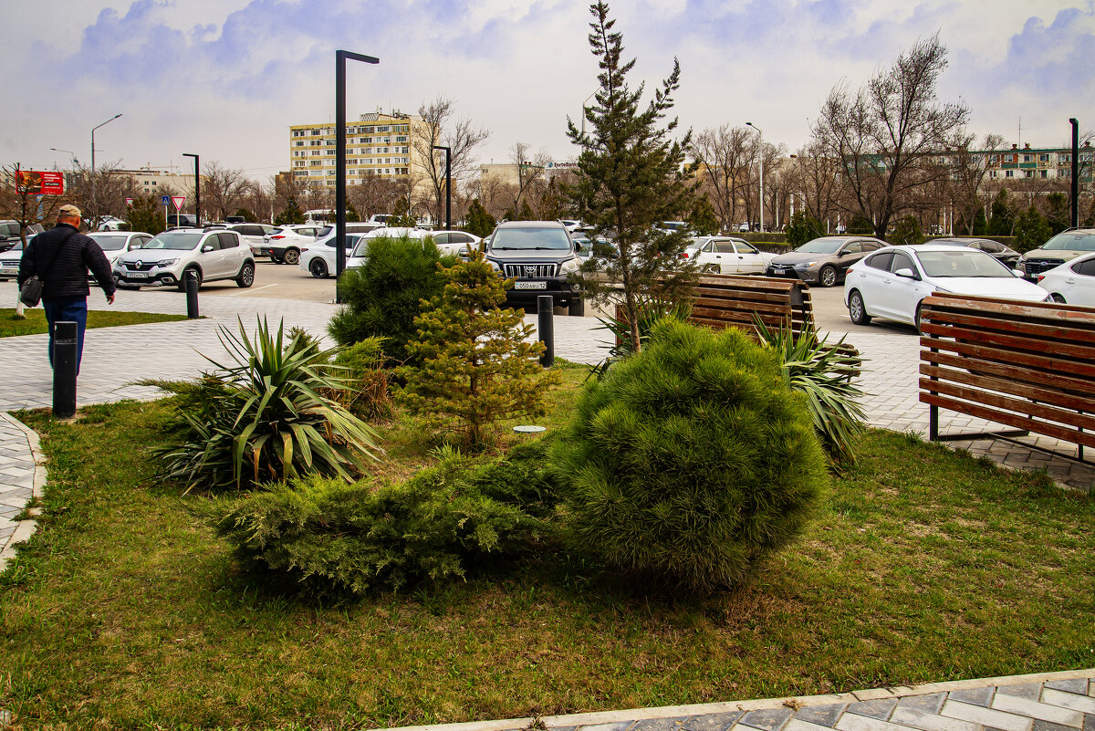 Весна - Анатолий Чикчирный Весна - Анатолий Чикчирный