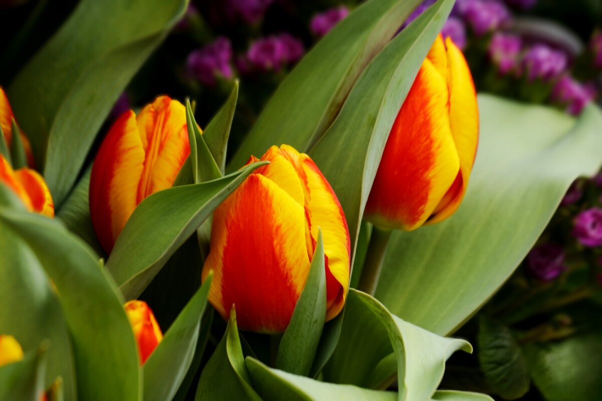 Доброе утро - Юрий. Шмаков Доброе утро - Юрий. Шмаков