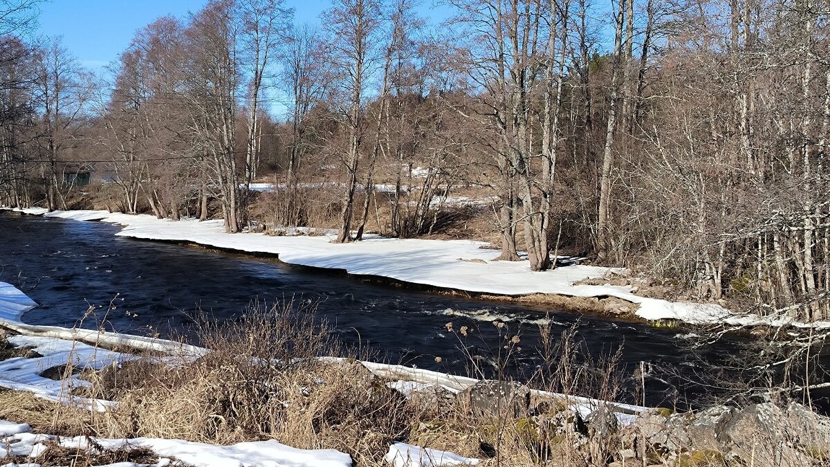 Река Гороховка. - Ольга Река Гороховка. - Ольга