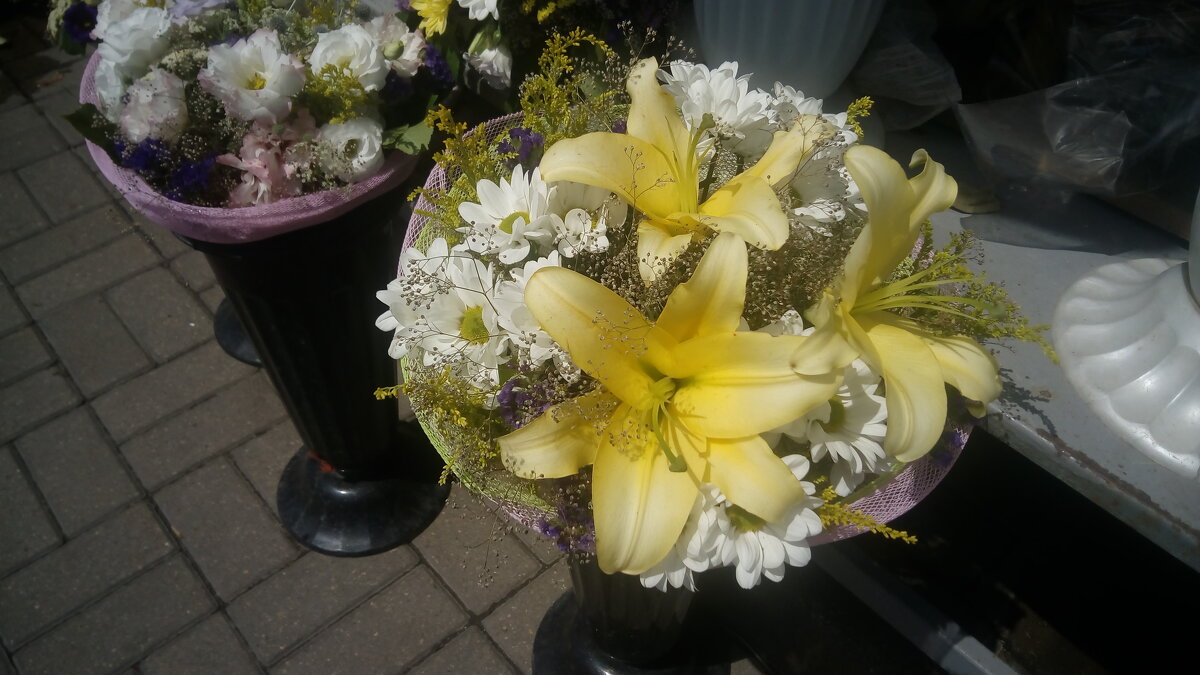 ,,, - Сергей Тимоновский ,,, - Сергей Тимоновский