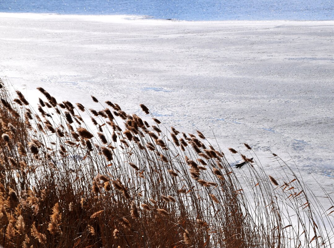 *** - Павленко Михаил 