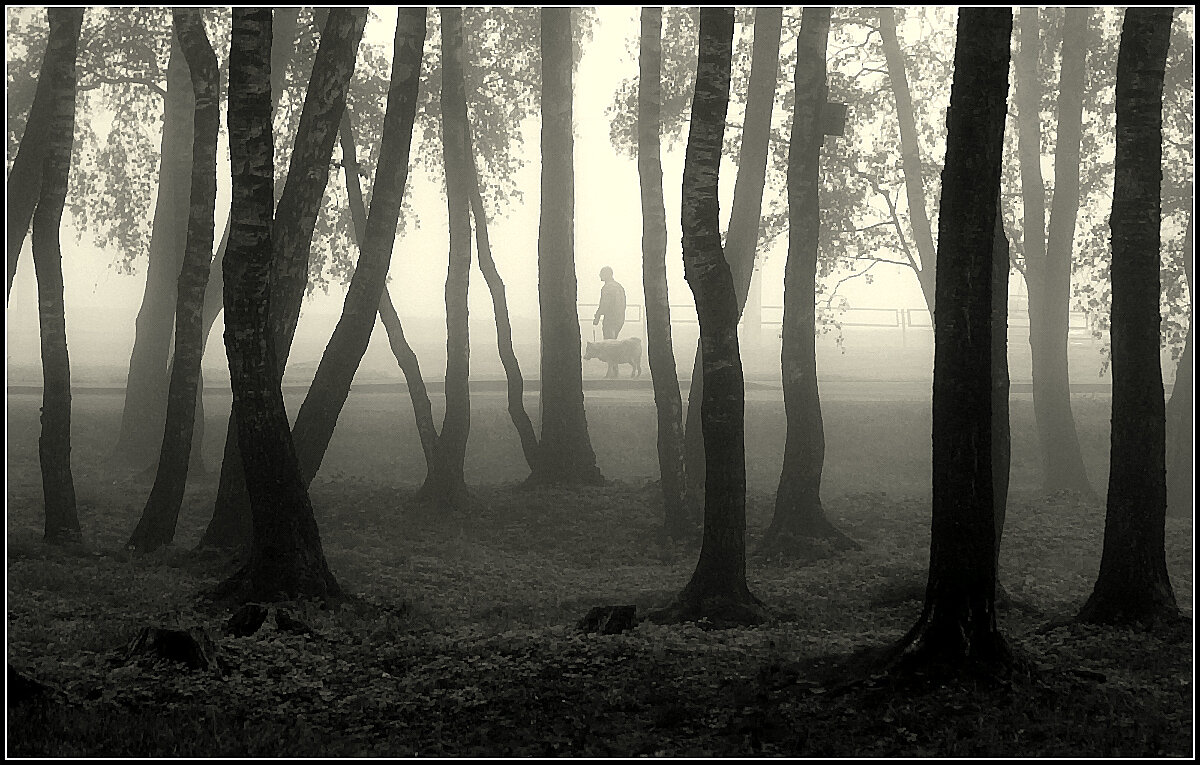 В любую погоду... - Aleksandr Gal