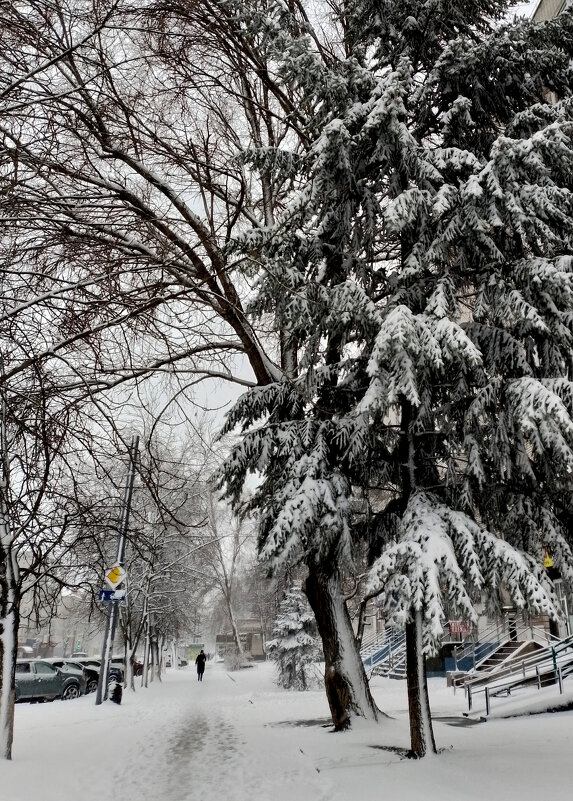 *** - Валентина Береснева *** - Валентина Береснева