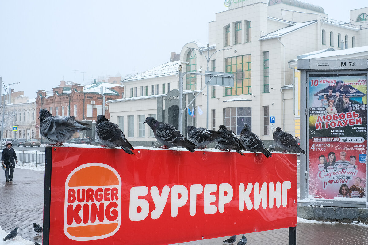 Голуби... - Влад Никишин