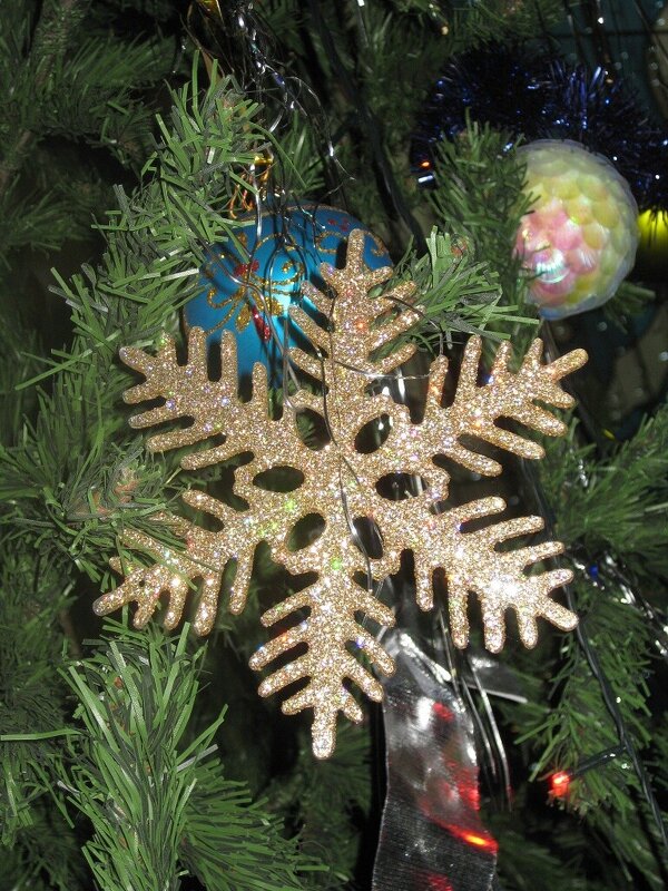 Снежинка золотая - Дмитрий Никитин