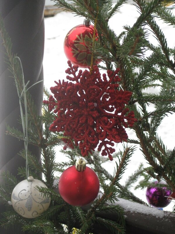 Снежинка красная - Дмитрий Никитин