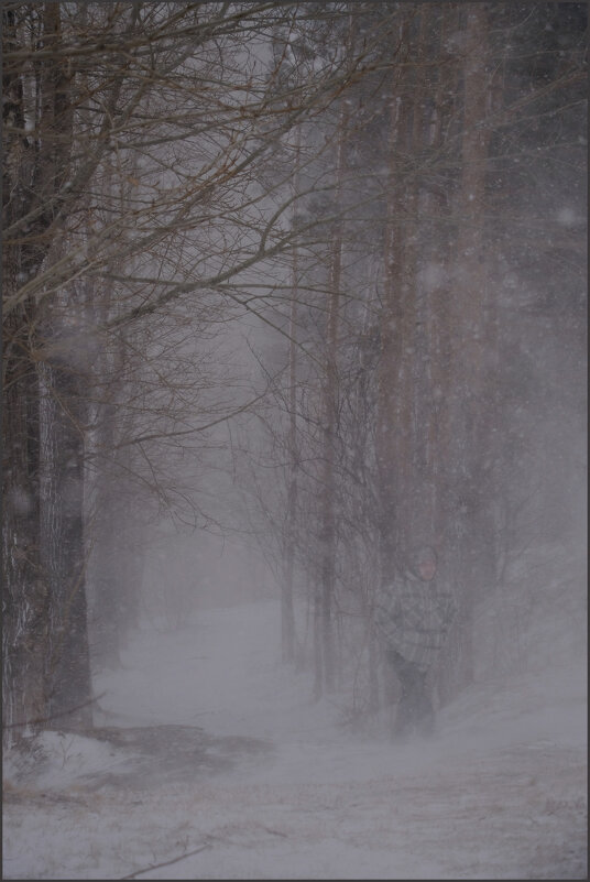 Снегопад - Алексей Хвастунов