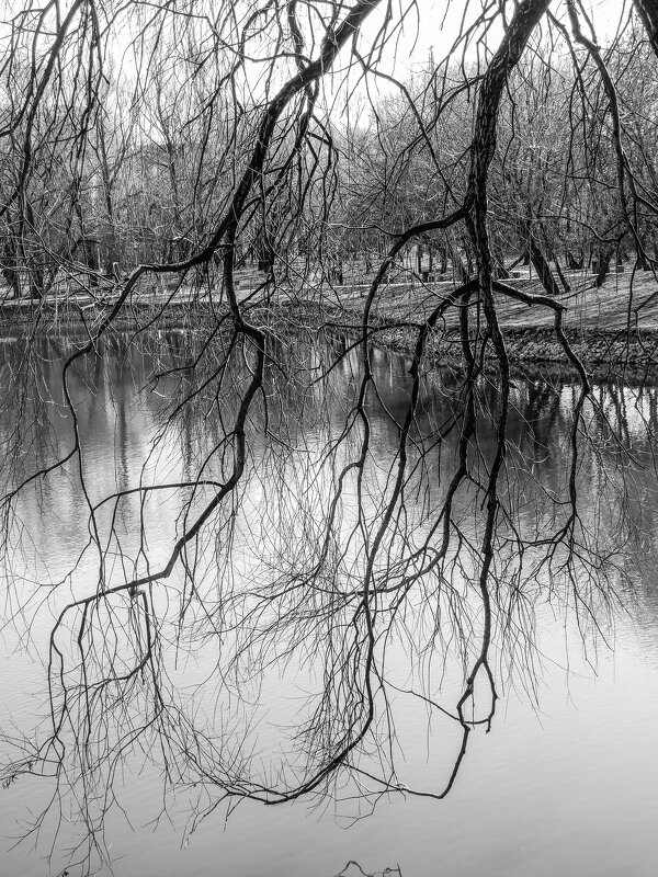 ветки над водой - Сергей Лындин ветки над водой - Сергей Лындин