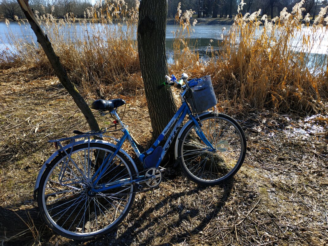Портрет друга - Андрей Лукьянов Портрет друга - Андрей Лукьянов