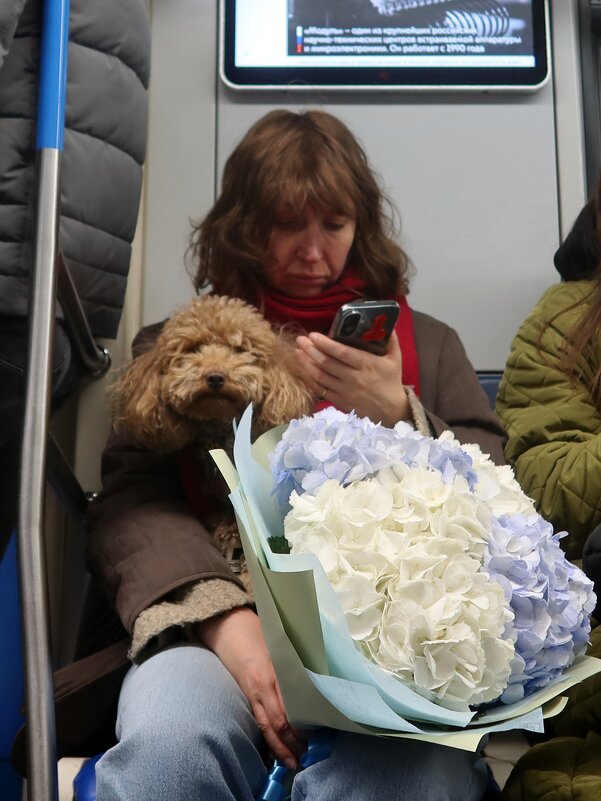 в метро - Дмитрий И_ в метро - Дмитрий И_